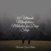 50 Ultimate Mindfulness Melodies for Deep Sleep