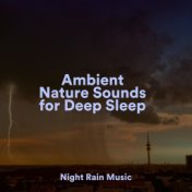 Ambient Nature Sounds for Deep Sleep