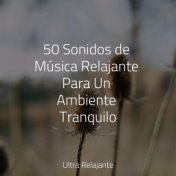 50 Sonidos de Música Relajante Para Un Ambiente Tranquilo