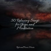 50 Relaxing Songs for Yoga and Meditation