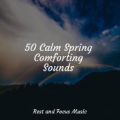 50 Calm Spring Comforting Sounds