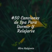 #50 Canciones de Spa Para Dormir Y Relajarse