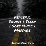 Peaceful Sounds | Sleep | Soft Music | Massage