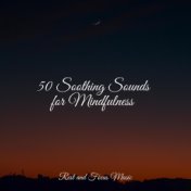 50 Soothing Sounds for Mindfulness