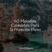 50 Melodías Calmantes Para la Atención Plena