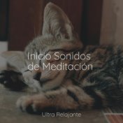 Inicio Sonidos de Meditación