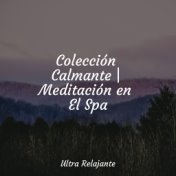 Colección Calmante | Meditación en El Spa