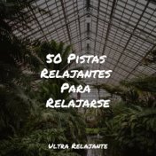 50 Pistas Relajantes Para Relajarse