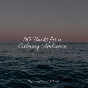 50 Tracks for a Calming Ambience