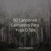 50 Canciones Calmantes Para Yoga O Spa