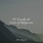 50 Sonidos Para la Paz Y la Relajación