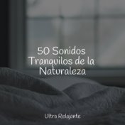 50 Sonidos Tranquilos de la Naturaleza