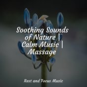 Soothing Sounds of Nature | Calm Music | Massage