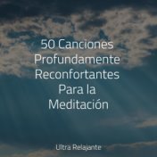 50 Canciones Profundamente Reconfortantes Para la Meditación