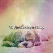 75 Find Peace In Sleep