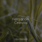 Relajación Celestial