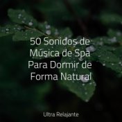 50 Sonidos de Música de Spa Para Dormir de Forma Natural