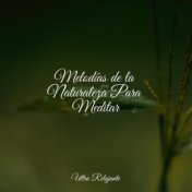 Melodías de la Naturaleza Para Meditar