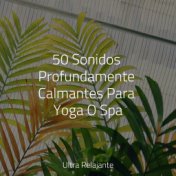 50 Sonidos Profundamente Calmantes Para Yoga O Spa