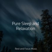 Pure Sleep and Relaxation