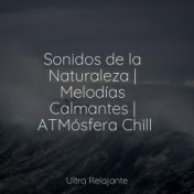 Sonidos de la Naturaleza | Melodías Calmantes | ATMósfera Chill