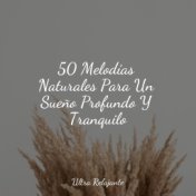 50 Melodías Naturales Para Un Sueño Profundo Y Tranquilo