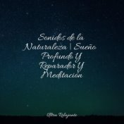 Sonidos de la Naturaleza | Sueño Profundo Y Reparador Y Meditación