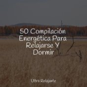 50 Compilación Energética Para Relajarse Y Dormir