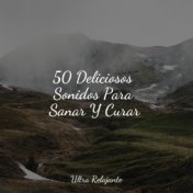 50 Deliciosos Sonidos Para Sanar Y Curar