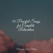 50 Peaceful Songs for Complete Relaxation
