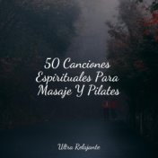 50 Canciones Espirituales Para Masaje Y Pilates