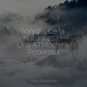 Sonidos de la Naturaleza | Una ATMósfera Poderosa