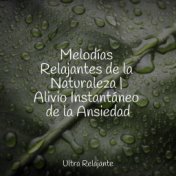 Melodías Relajantes de la Naturaleza | Alivio Instantáneo de la Ansiedad