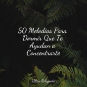 50 Melodías Para Dormir Que Te Ayudan a Concentrarte