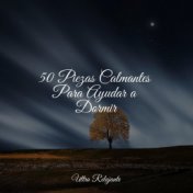 50 Piezas Calmantes Para Ayudar a Dormir