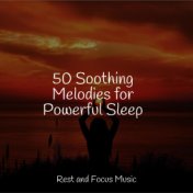 50 Soothing Melodies for Powerful Sleep