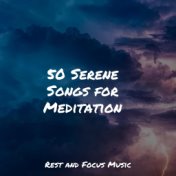 50 Serene Songs for Meditation