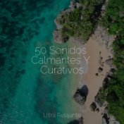 50 Sonidos Calmantes Y Curativos