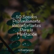 50 Sonidos Profundamente Reconfortantes Para la Meditación