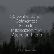 50 Grabaciones Calmantes Para la Meditación Y la Atención Plena