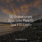 50 Grabaciones Apacibles Para El Spa Y El Cristo