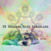 35 Encased Rain Dreamland