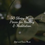 50 Sleepy Music Pieces for Healing & Meditation