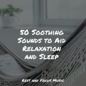 50 Soothing Sounds to Aid Relaxation and Sleep