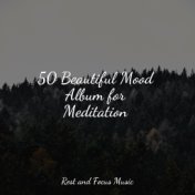 50 Beautiful Mood Album for Meditation