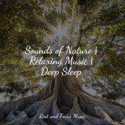 Sounds of Nature | Relaxing Music | Deep Sleep