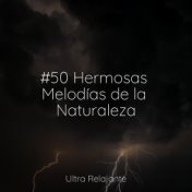 #50 Hermosas Melodías de la Naturaleza