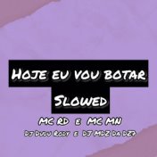 Hoje Eu Vou Botar - Slowed