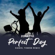 Perfect Day (Daniel Tomen Remix)