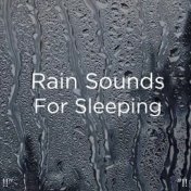 !!" Rain Sounds For Sleeping "!!